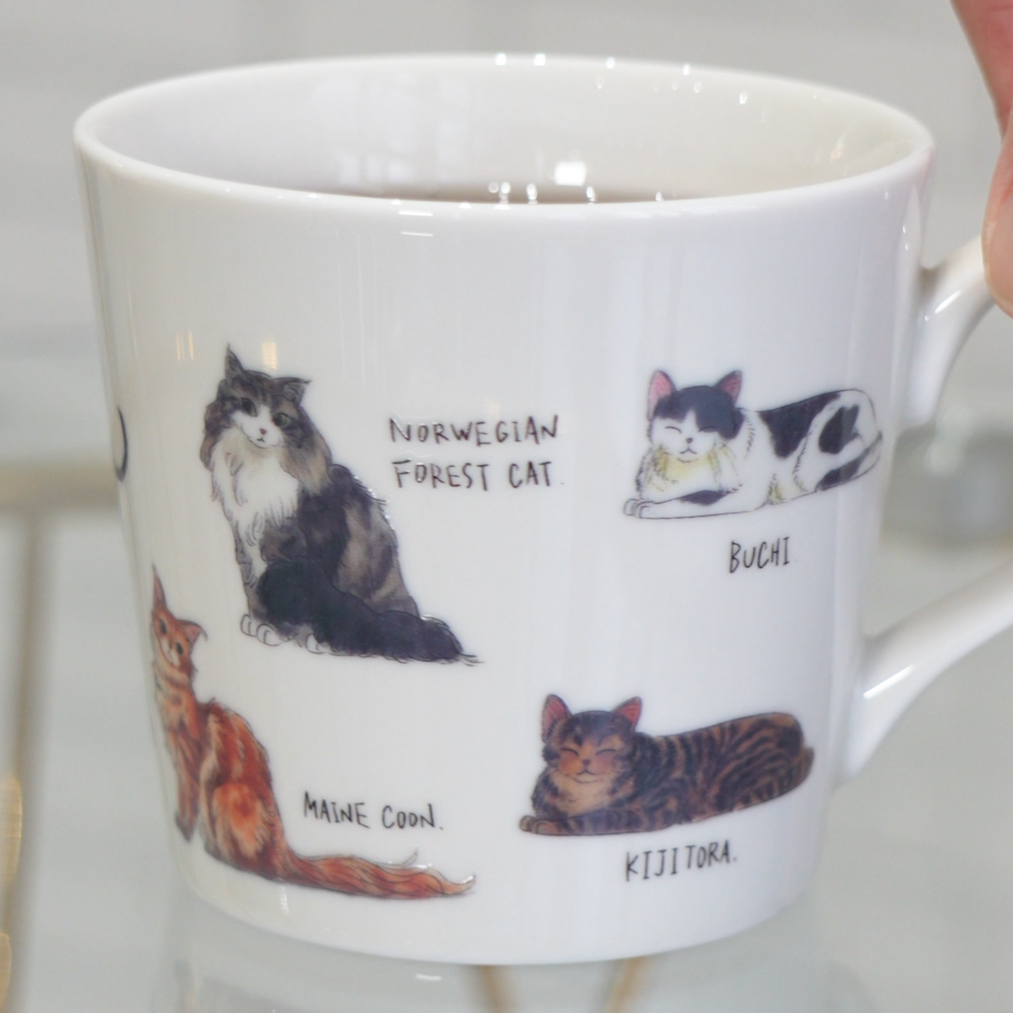 【MARUMO TAKAGI】Heat-sensitive Color & Design Change Cute Cat Mug (Made in Japan, Gifu)