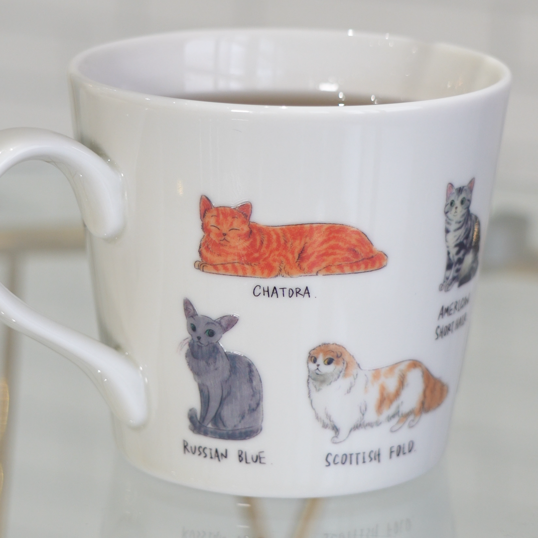 【MARUMO TAKAGI】Heat-sensitive Color & Design Change Cute Cat Mug (Made in Japan, Gifu)