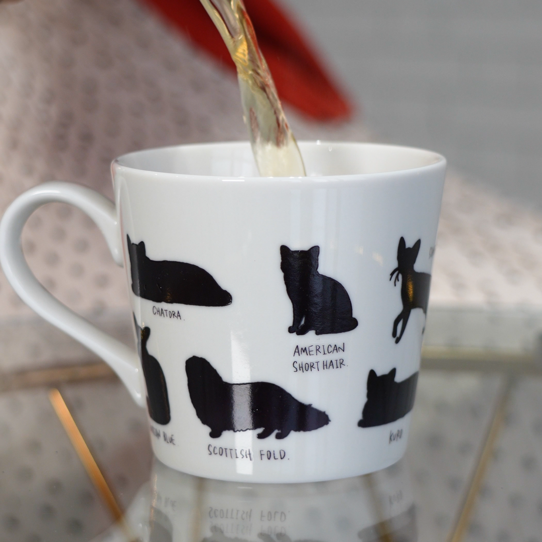 【MARUMO TAKAGI】Heat-sensitive Color & Design Change Cute Cat Mug (Made in Japan, Gifu)