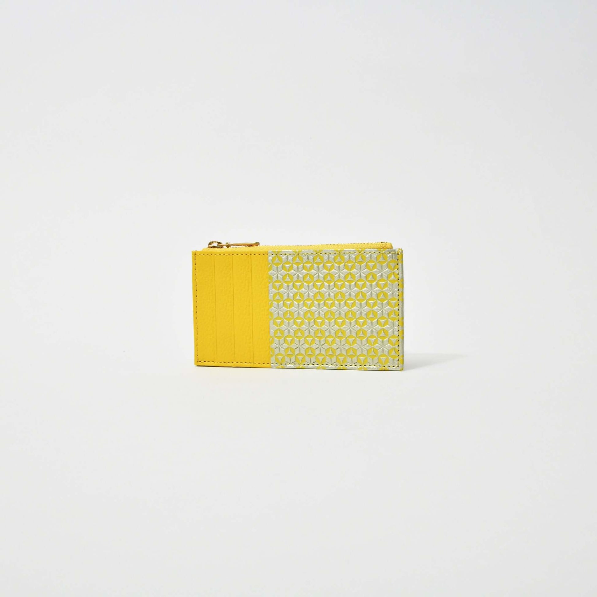Asakusa Bunko Irodori Fragment Case